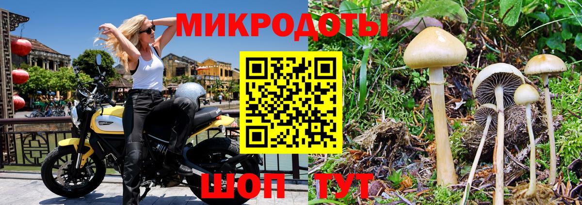 Псилоцибиновые грибы Psilocybine cubensis  где найти   Конаково  Вход с VPN 